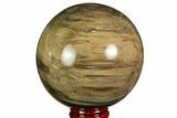Polished Petrified Wood Sphere - Madagascar #169145-1